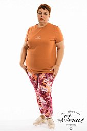 Брюки Брюки