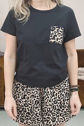 ������ �������� � �����