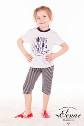 ������ (��������+�����) �/�  %